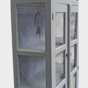 Vintage Vitrine mit Beleuchtung & Pfauenmotiv – Glasvitrine im Landhausstil – Petunia